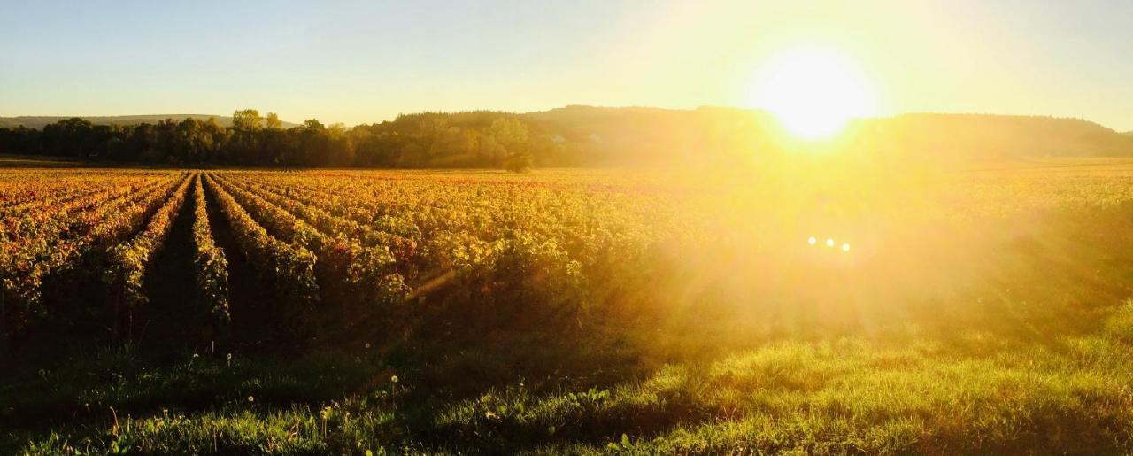 Domaine Pont Juillet Bed & Breakfast Fontaines  ภายนอก รูปภาพ